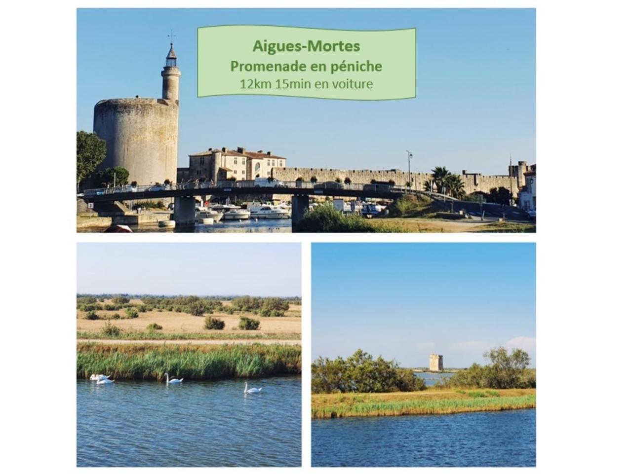 T2 Traversant Familial Cap Sud Parking Plages - Rossiconciergerie - Linge En Option La Grande Motte Dış mekan fotoğraf