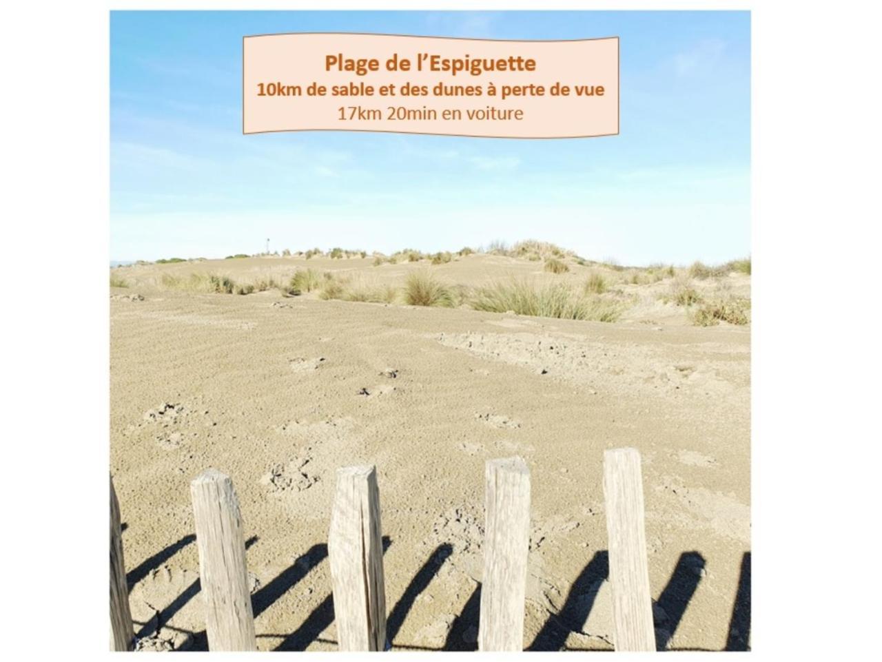 T2 Traversant Familial Cap Sud Parking Plages - Rossiconciergerie - Linge En Option La Grande Motte Dış mekan fotoğraf